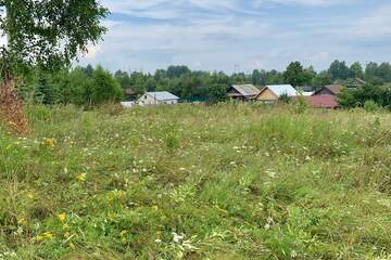ЛПХ, 3500 м²