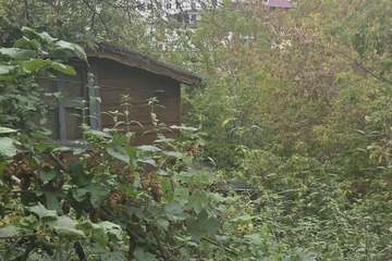 Ведение садоводства, 4 сот.