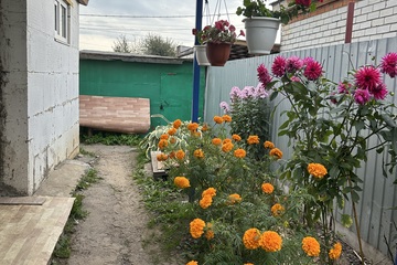 1-к квартира, 40 м², 1/2 эт.