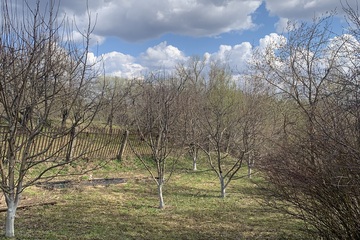 Дом, 47,3 м², 1 эт.