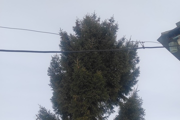 Дом, 48 м², 1 эт.