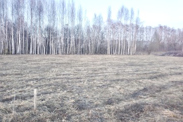 ИЖС, 17,1 сот.