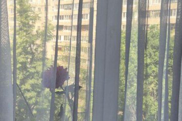 3-к квартира, 65,5 м², 5/9 эт.