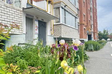 1-к квартира, 47 м², 6/6 эт.